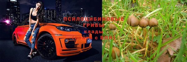 Альфа ПВП Алексин
