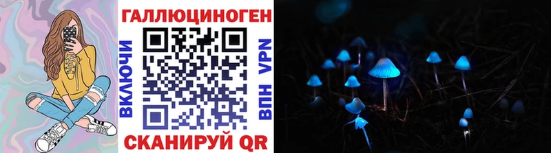 Псилоцибиновые грибы Cubensis Хотьково
